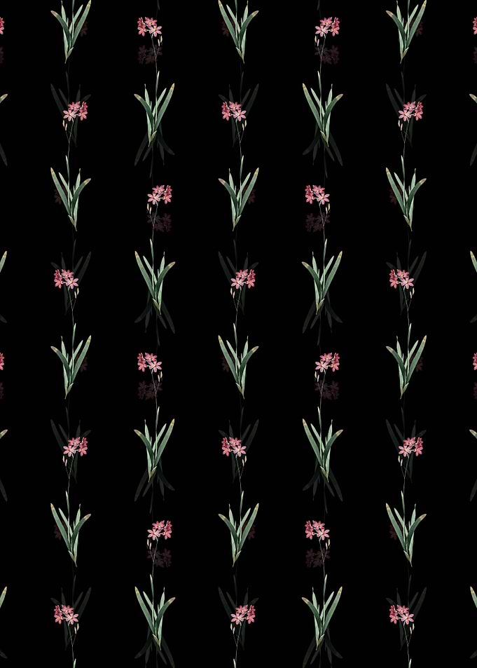 Floral Corn Lily Pattern