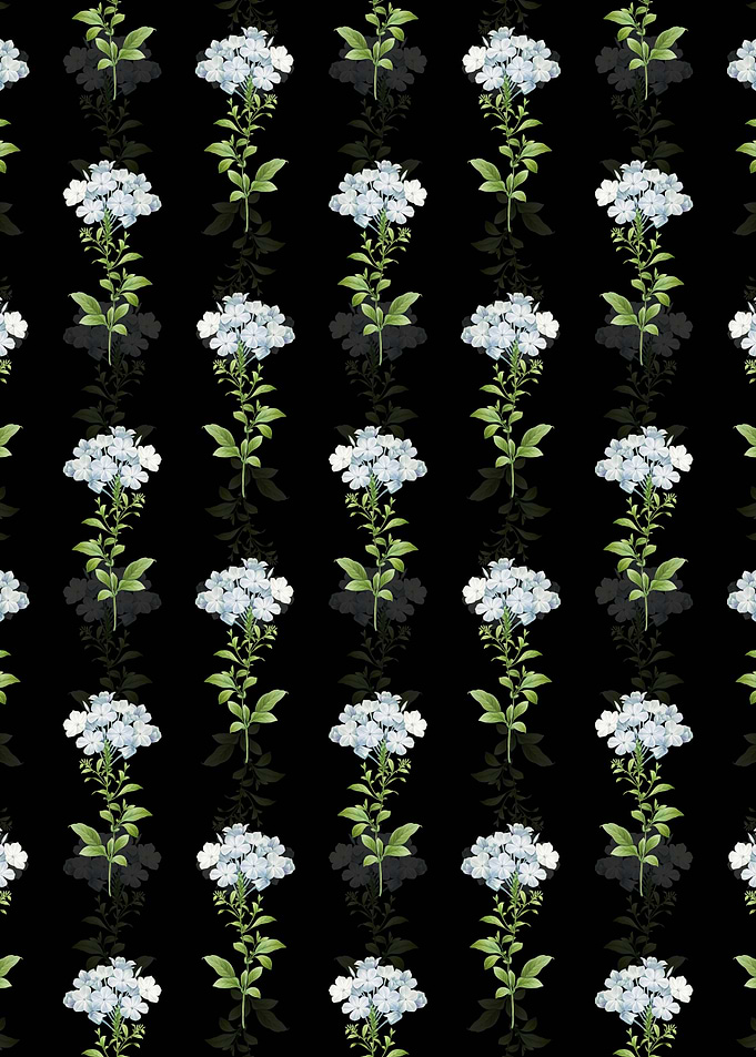 Plumbago Caerulea Pattern