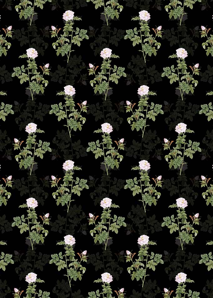Pink Rosebush Pattern