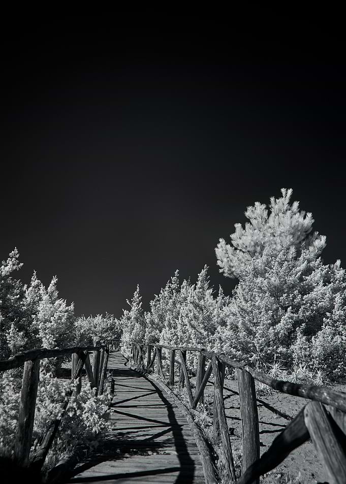 Snow Bridge Crossing