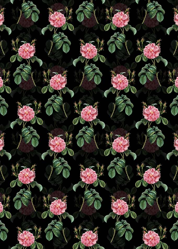 Pink Wild Rose Pattern