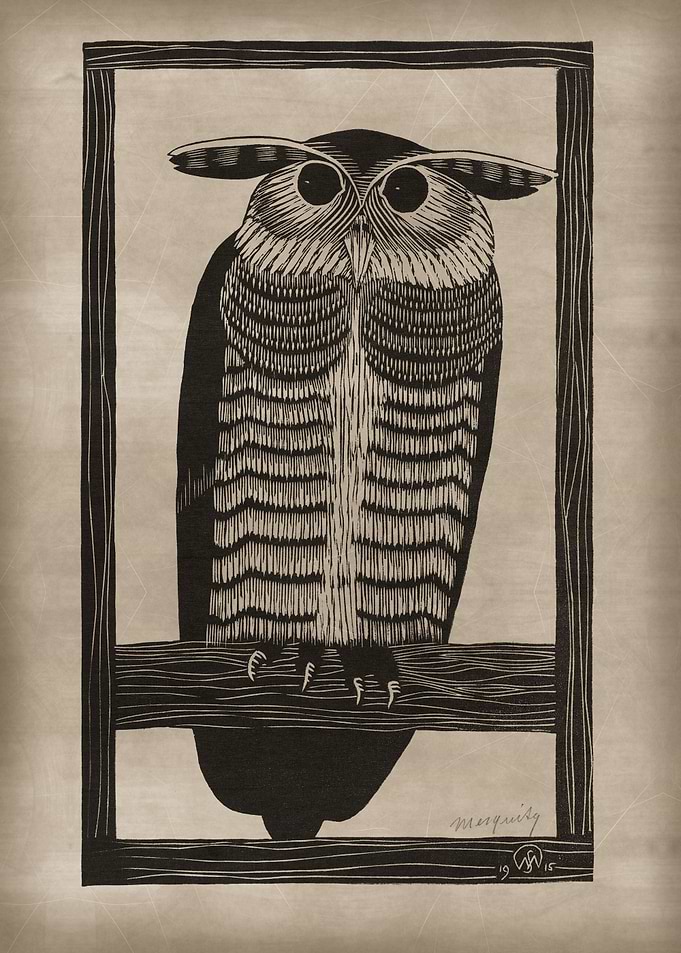 Horned owl