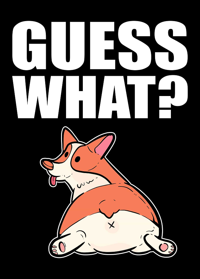 Corgi Fuuny