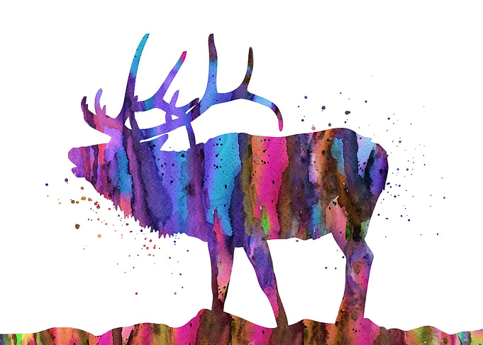 Deer
