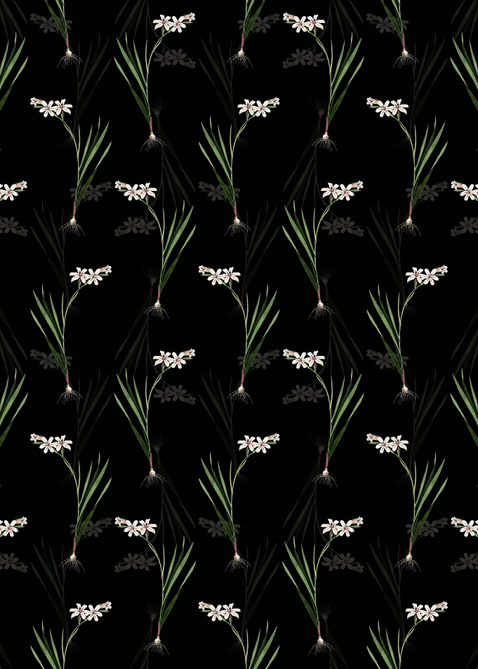 Floral Gladiolus Pattern