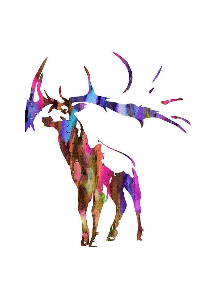Deer