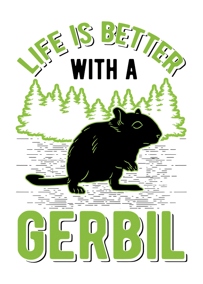 Gerbil Racing Rat