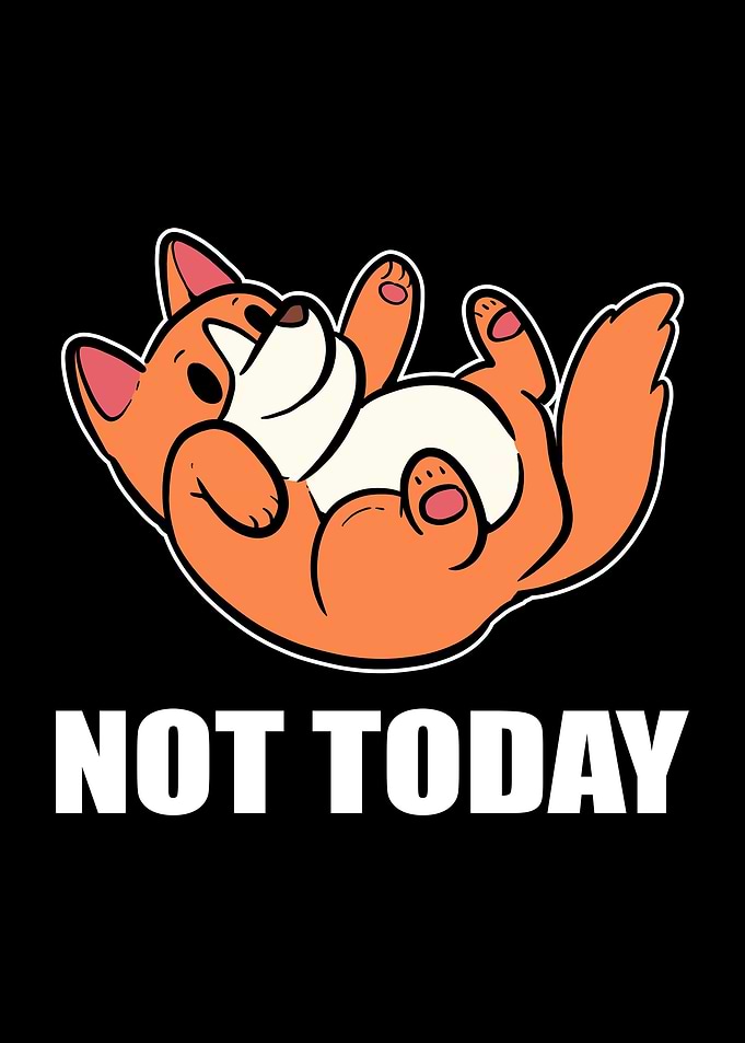 Not Today Corgi