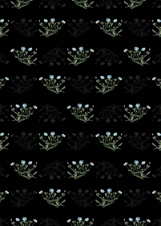 Shewy Nemophila Pattern