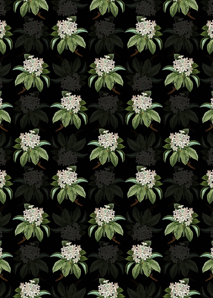 Floral Shipova Pattern