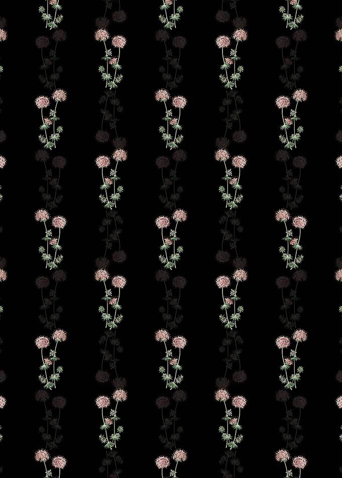 Crucianella Flower Branch