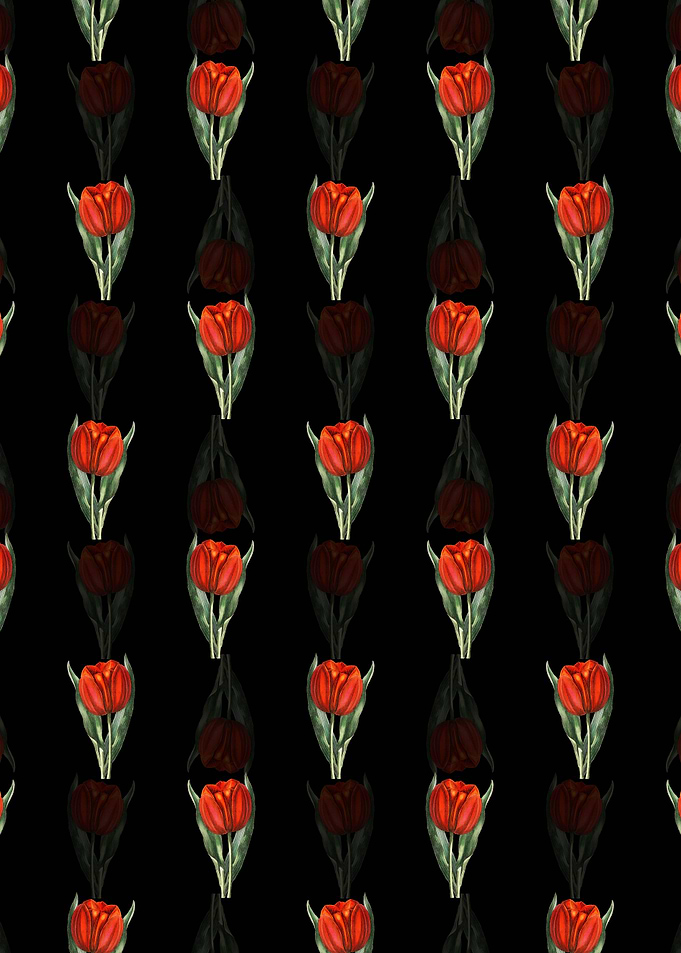 Black Gesners Tulip Branch
