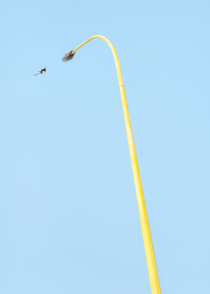 Yellow Line
