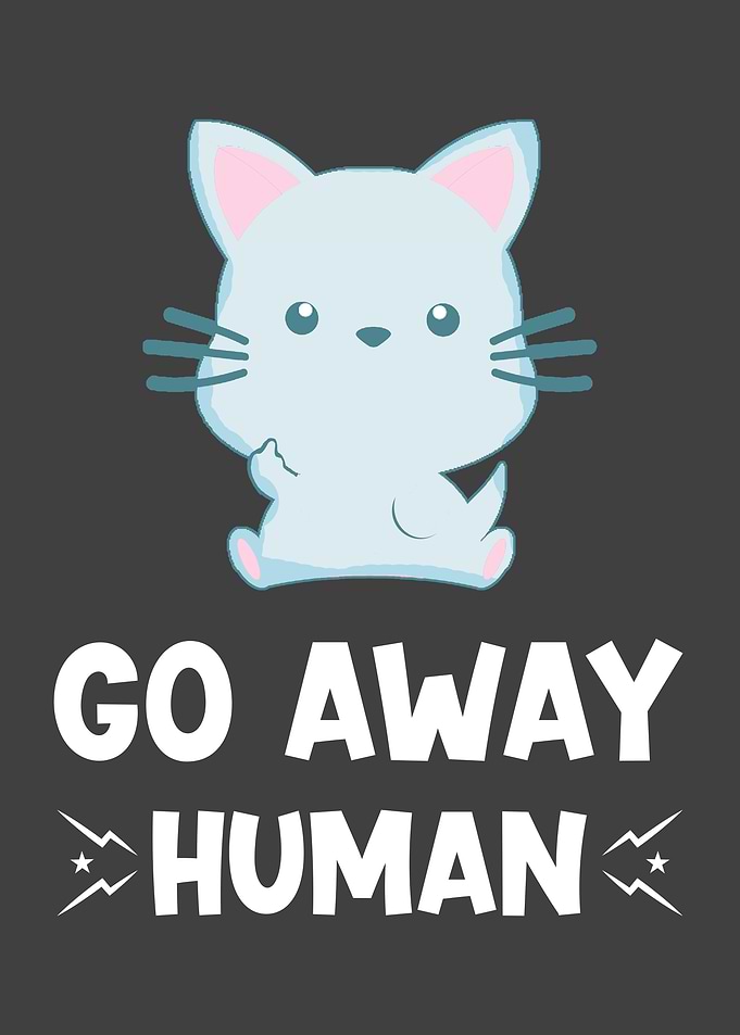 Cats Gift With Funny