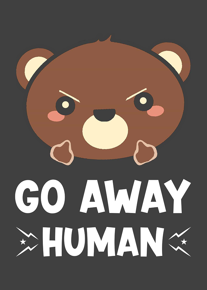 Bear Gift With Funny