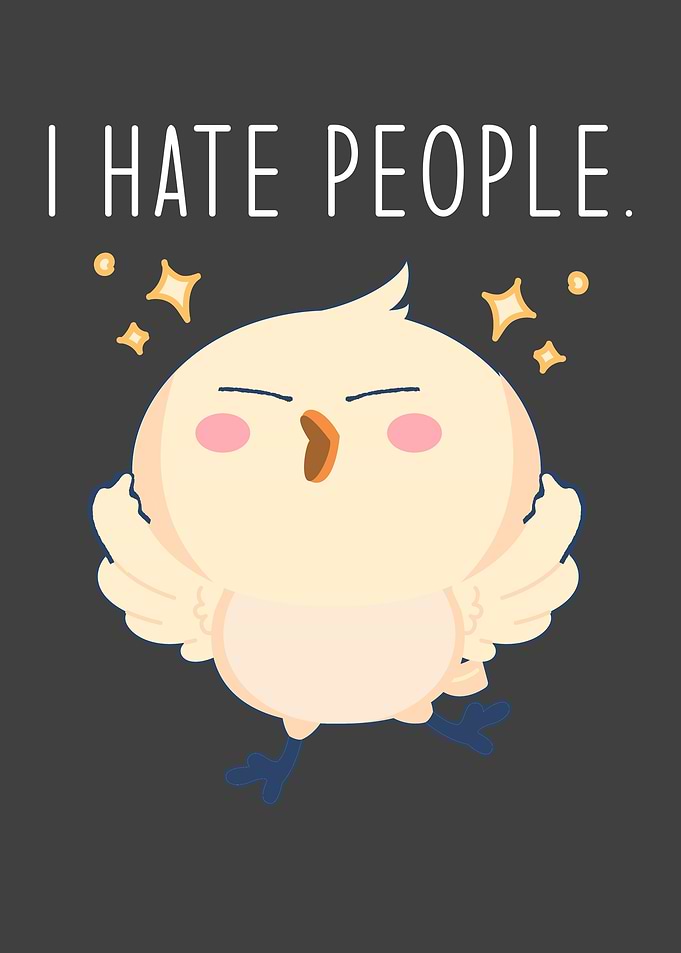 I Hate People with angry