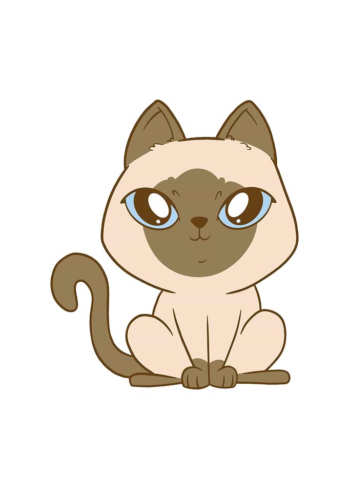 Siamesiam Cute Cat Lover
