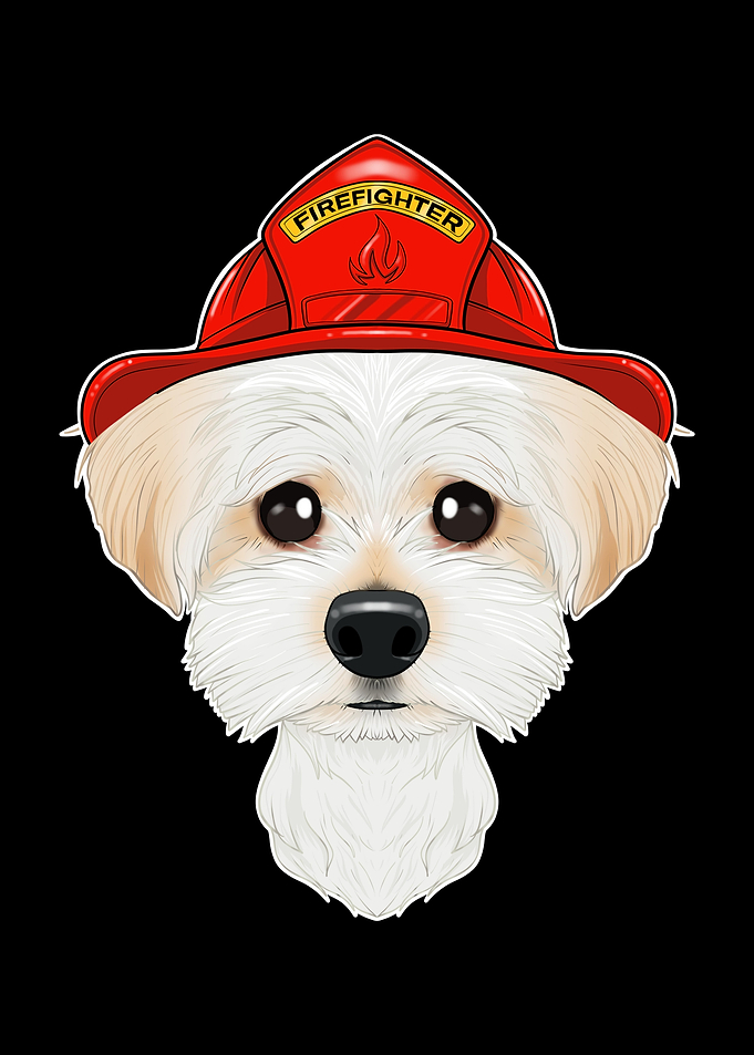Canine Handler I Fireman