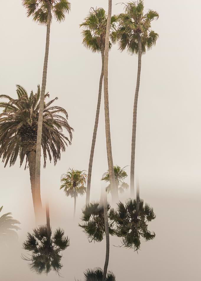 Palm Tree Inversion