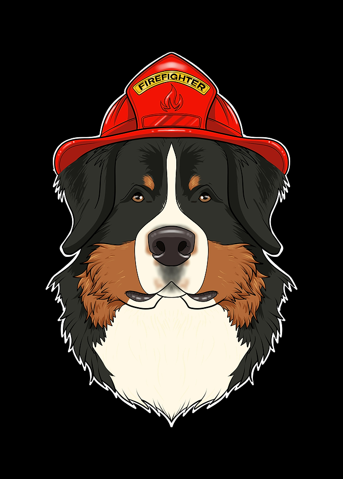 Bernese Mountain Dog