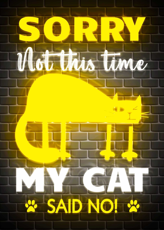 Funny Quotes