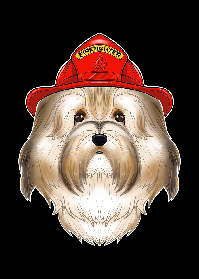 Firefighter Havanese
