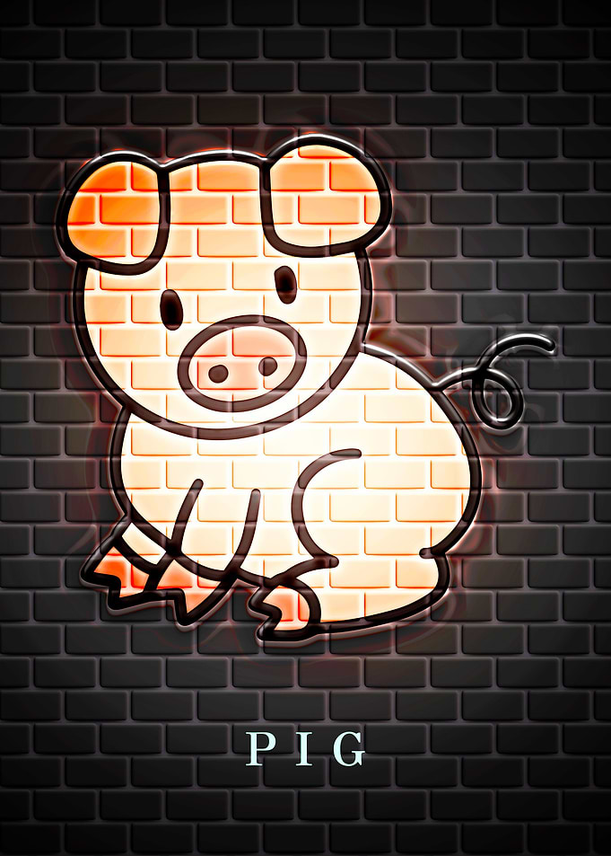 PIG Animal