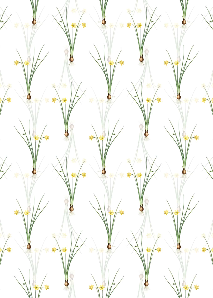 Floral Daffodil Pattern