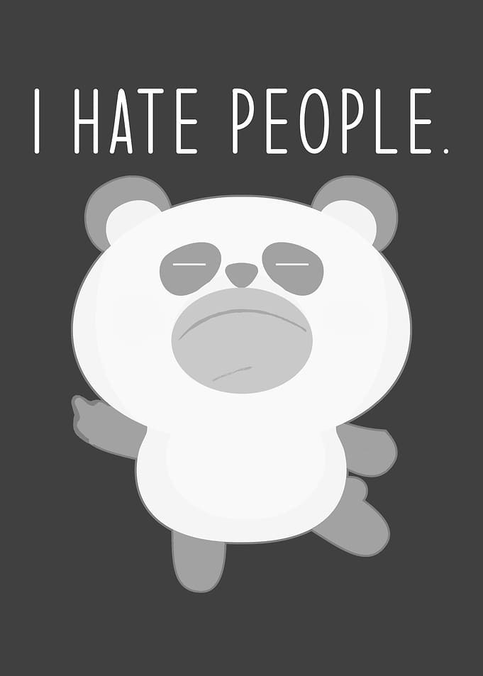 Funny Panda I Say I Hate