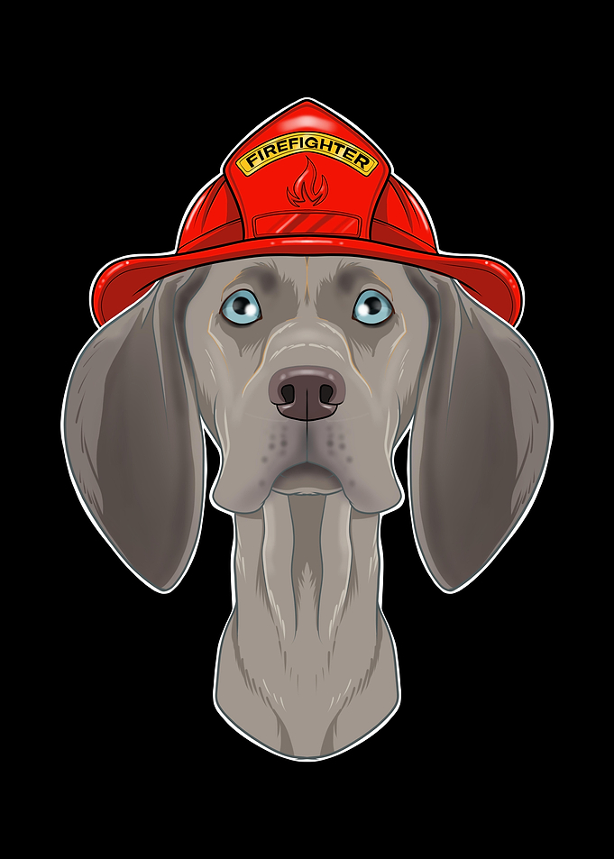 Firefighter Weimaraner