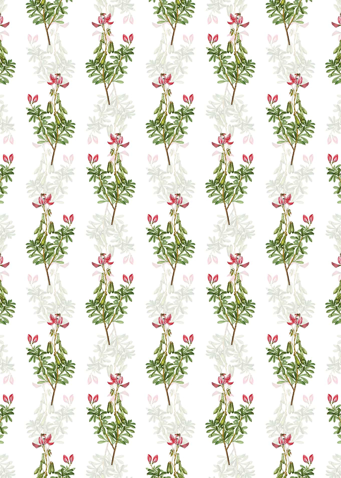 Floral Restharrows Pattern