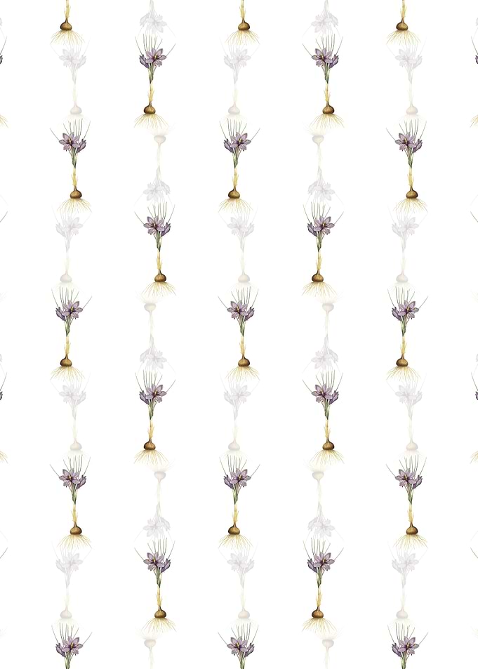 Crocus Sativus Pattern