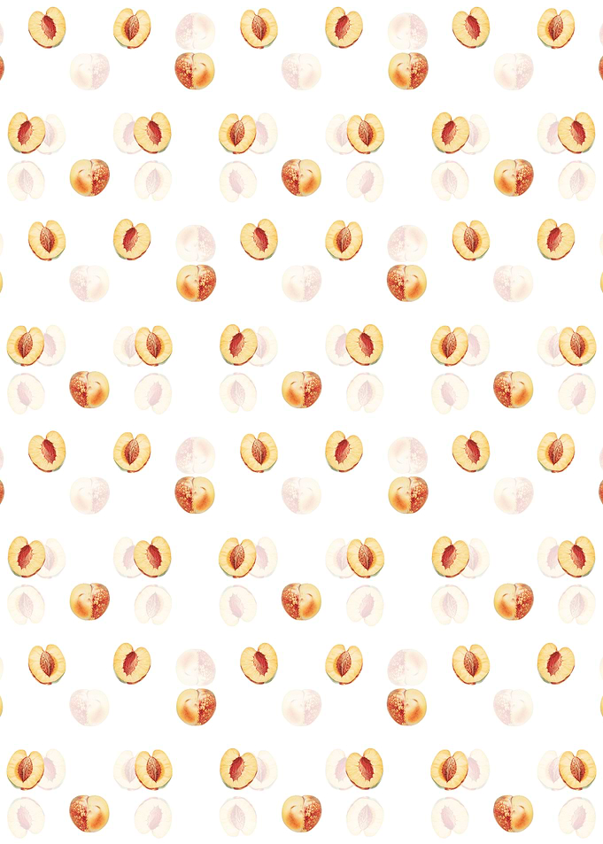 Floral Nectarine Pattern