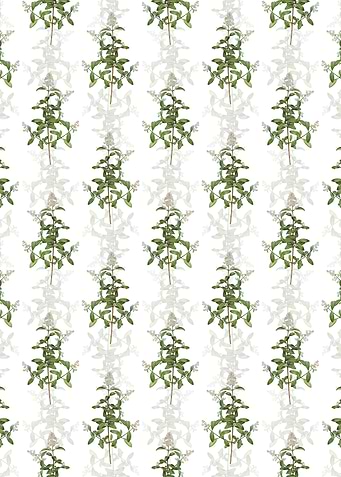 Floral Wild Privet Pattern