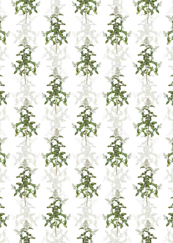 Floral Wild Privet Pattern