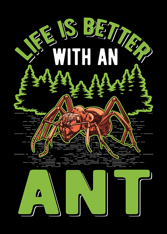 Ant Farm Ant Keeper