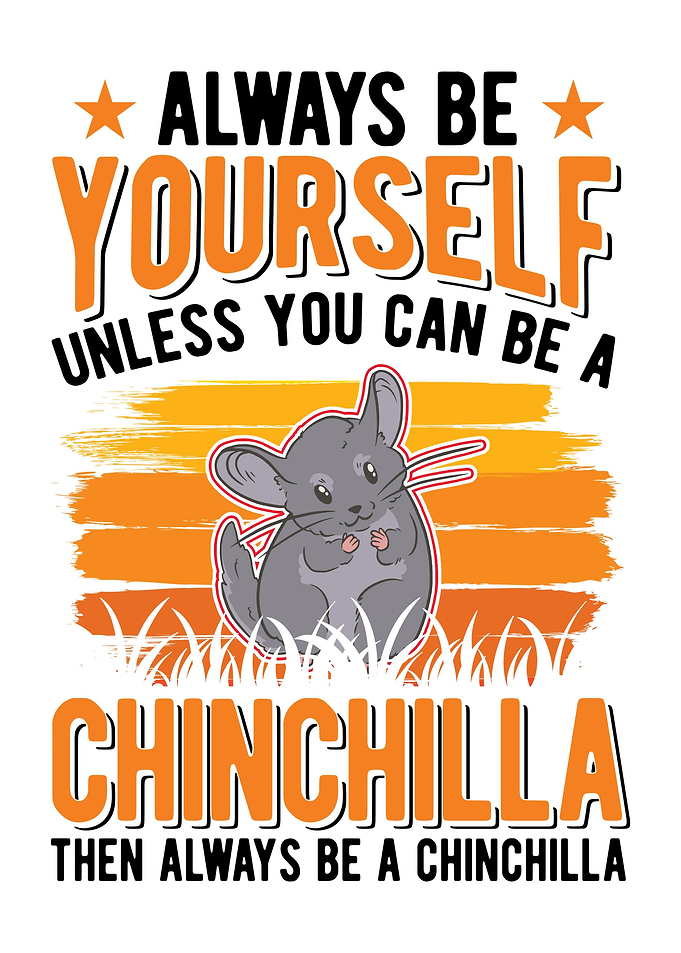 Chinchilla Lover