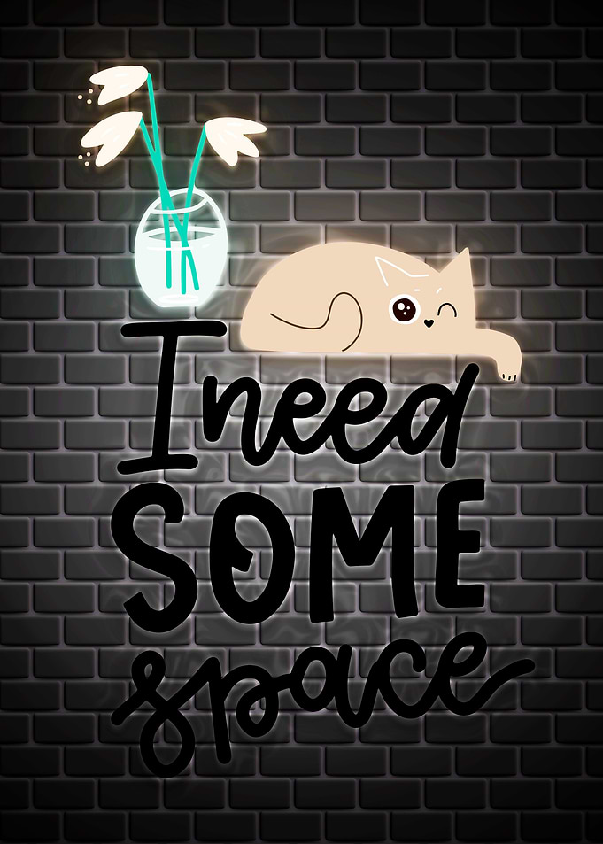 Funny Quotes