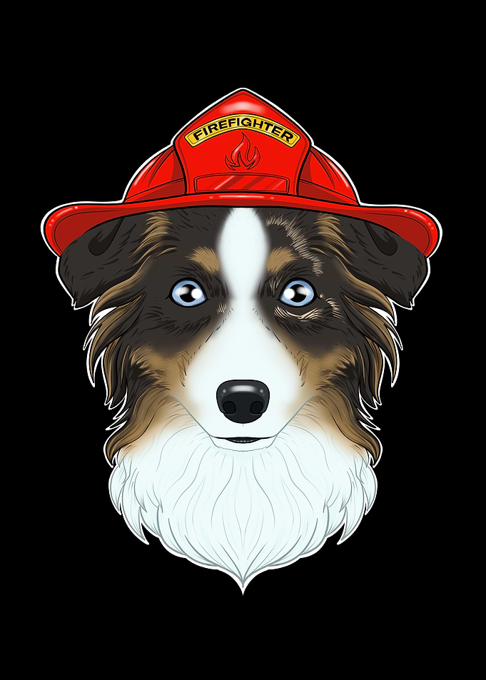 Australian Shepherd