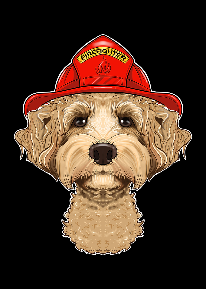 Firefighter Labaradoodle