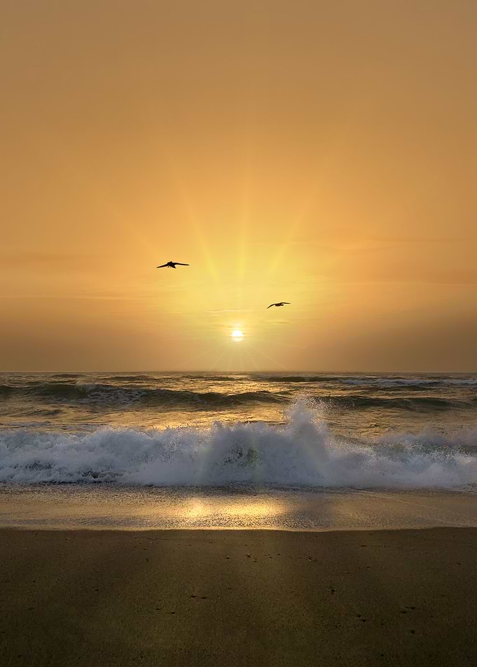 Golden Sunrise and Birds