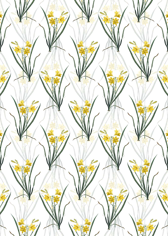 Floral Daylily Pattern