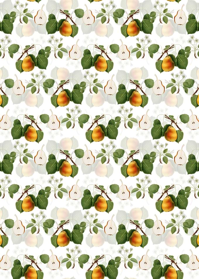White Floral Pear Pattern