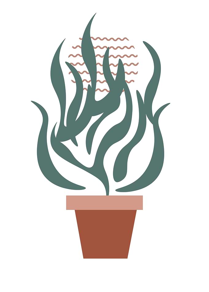 Abstract plant stripe sun