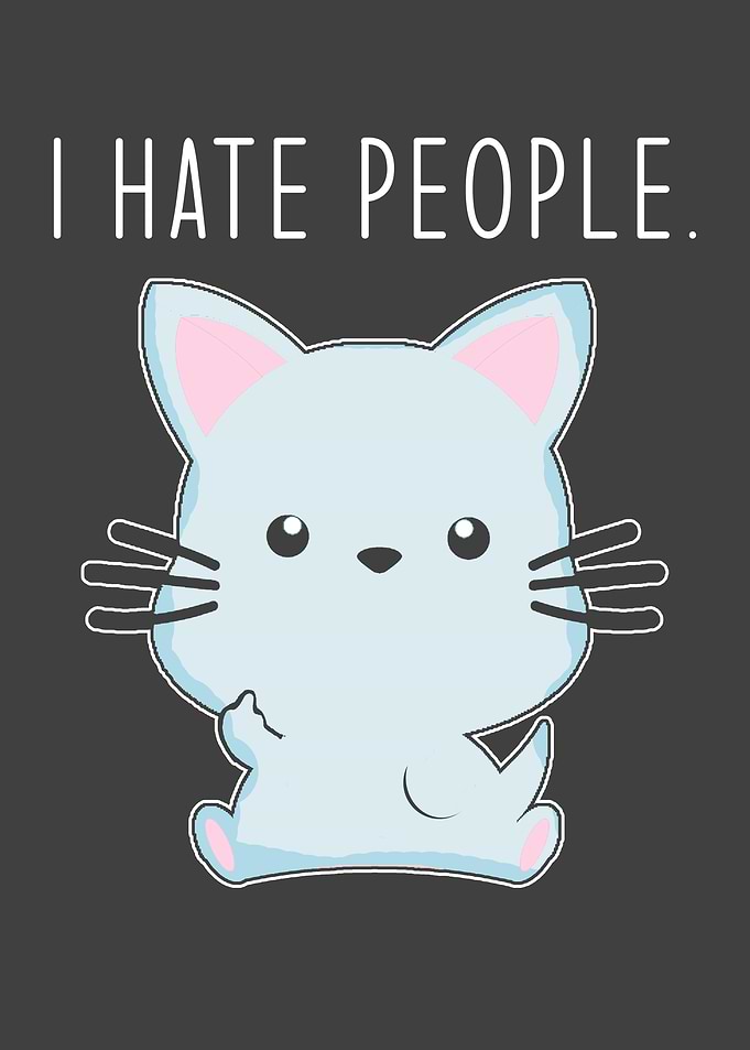I Hate People funny Cat