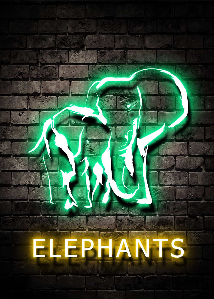 Elephants Animal