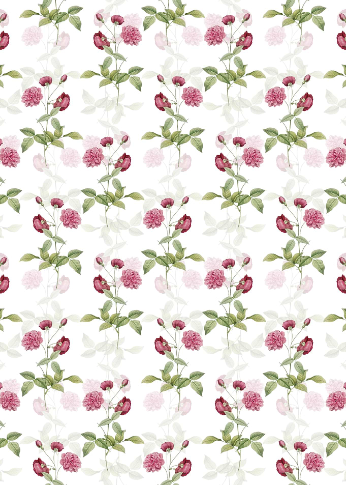 Floral China Rose Pattern