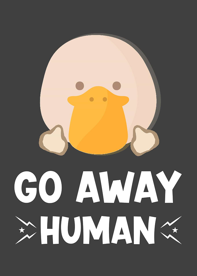 Duck Gift With Funny