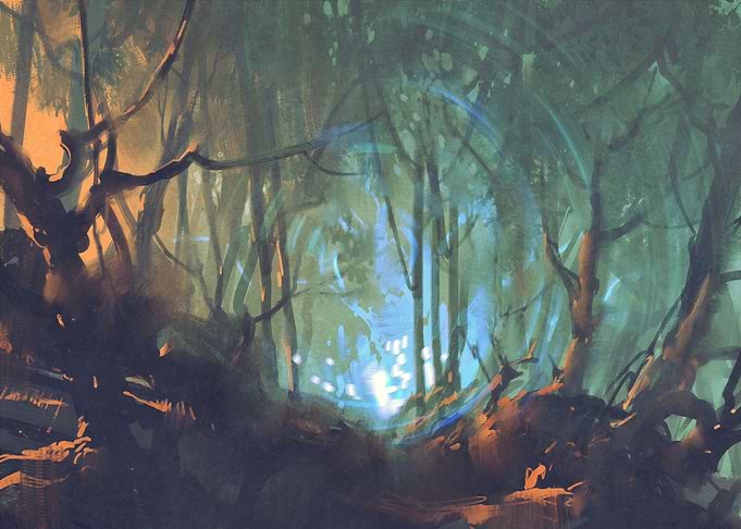the forests heart