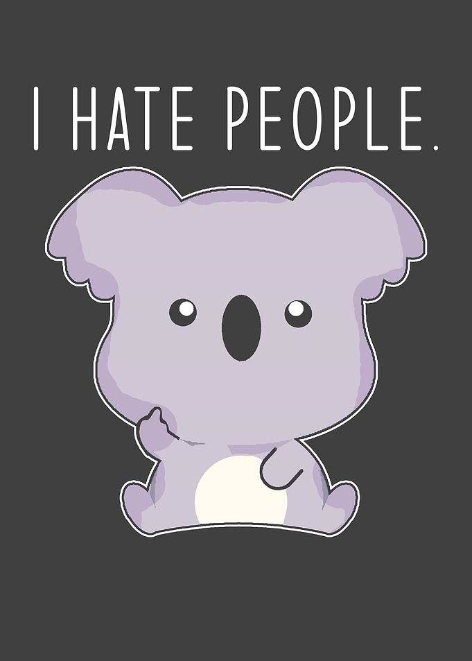 Funny Koala Saying I Hate